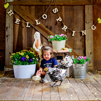 Street Spring Chick Session